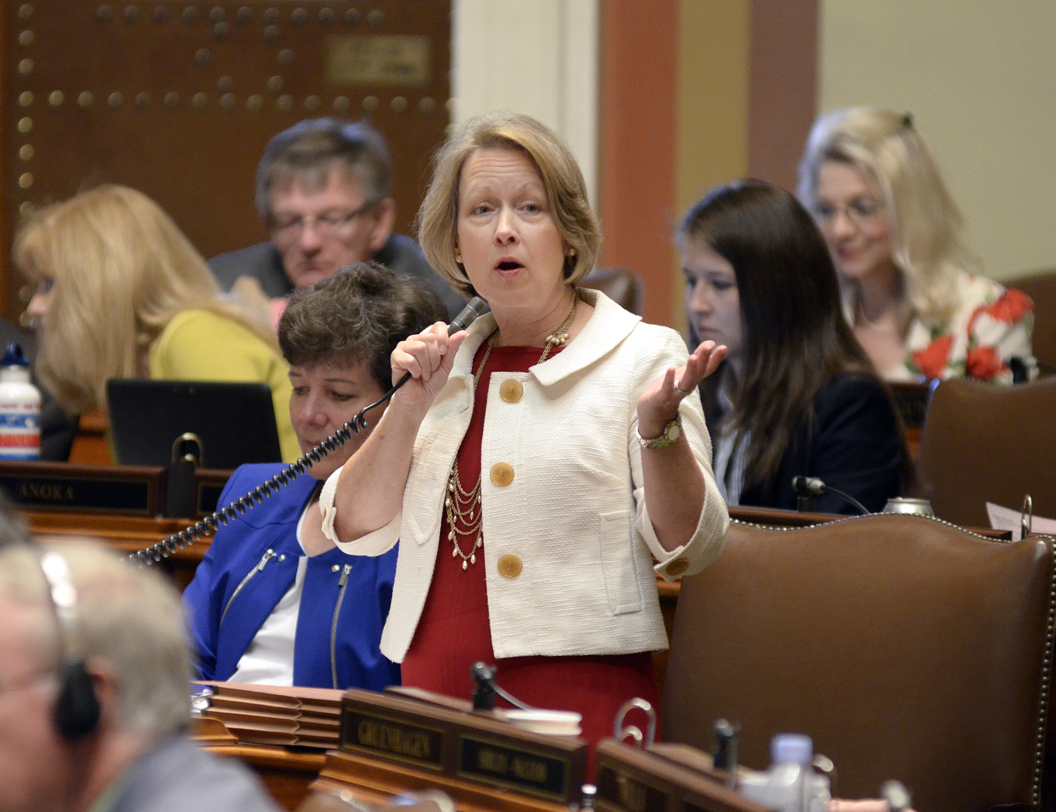 Rep. Jenifer Loon presents the omnibus education finance bill on the House floor April 25. Photo by Andrew VonBank